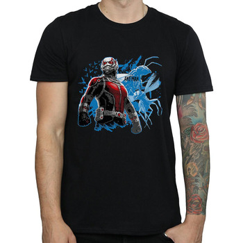 Vêtements Homme T-shirts manches longues Ant-Man Standing Noir