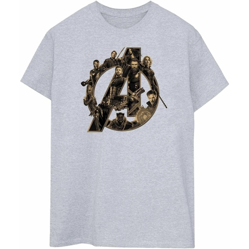Vêtements Homme T-shirts manches longues Avengers Infinity War BI452 Gris