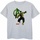 Vêtements Garçon T-shirts manches courtes Hulk  Gris