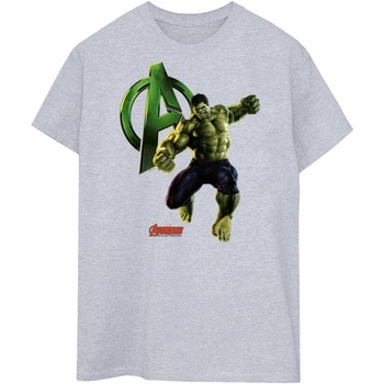 Vêtements Homme T-shirts manches longues Hulk BI454 Gris