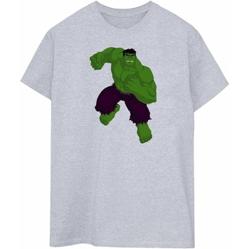 Vêtements Homme T-shirts manches longues Hulk BI530 Gris