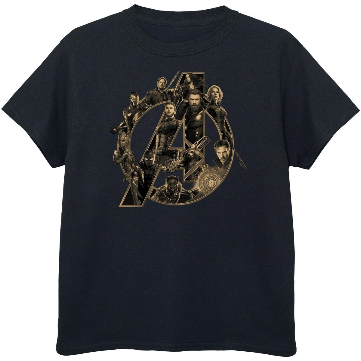 Vêtements Garçon T-shirts manches courtes Avengers Infinity War BI544 Noir