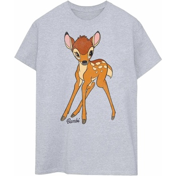 Vêtements Homme Sacs à dos Bambi Classic Gris