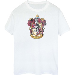 Vêtements Homme T-shirts manches longues Harry Potter BI582 Blanc