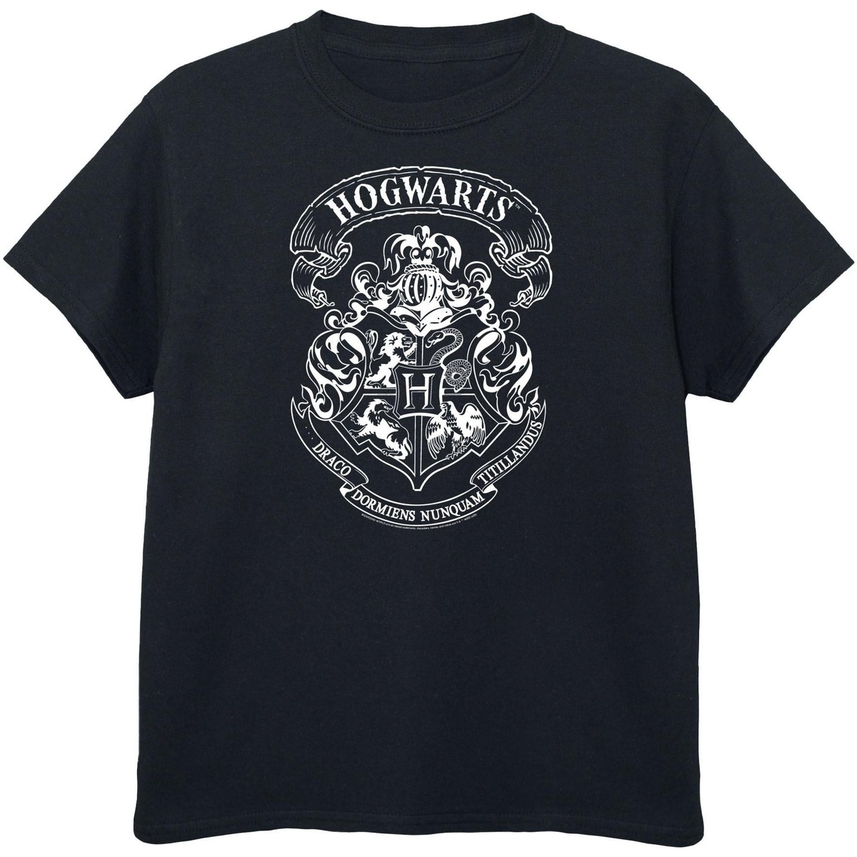 Vêtements Fille T-shirts manches longues Harry Potter BI697 Noir