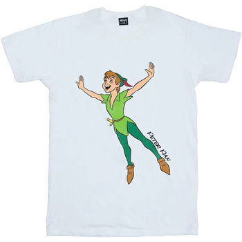 Vêtements Garçon T-shirts manches courtes Peter Pan Classic Flying Blanc