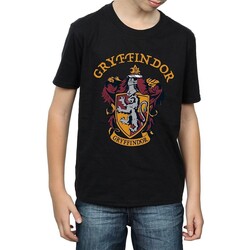 Vêtements Garçon T-shirts manches courtes Harry Potter BI769 Noir