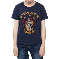 Vêtements Garçon T-shirts manches courtes Harry Potter BI769 Bleu