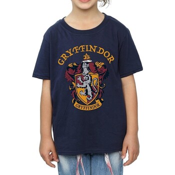 Vêtements Fille T-shirts manches longues Harry Potter  Bleu