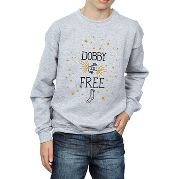 Vêtements Garçon Sweats Harry Potter Dobby Is Free Gris