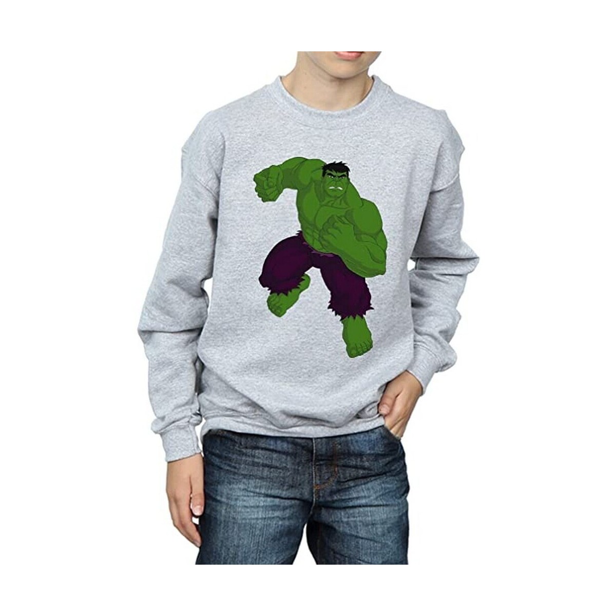 Vêtements Garçon Sweats Hulk BI993 Vert