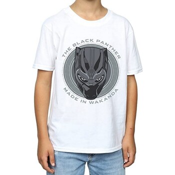 Vêtements Garçon T-shirts manches courtes Black Panther  Blanc