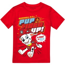 Vêtements Garçon T-shirts manches longues Paw Patrol Pup Fired Up Rouge