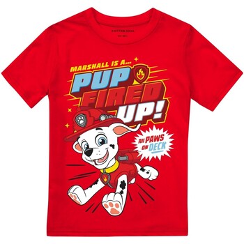 Vêtements Garçon T-shirts manches longues Paw Patrol Pup Fired Up Rouge