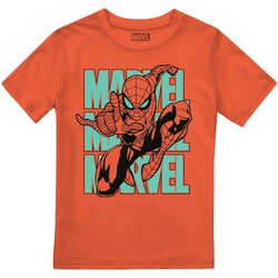 Vêtements Enfant T-shirts manches courtes Marvel  Orange