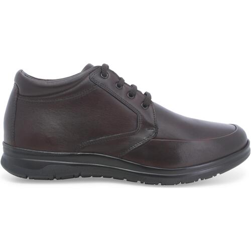 Chaussures Homme Boots Melluso U41115D-230297 Marron