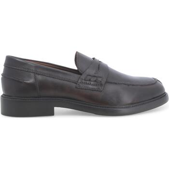 Chaussures Homme Mocassins Melluso U55254D-227938 Marron