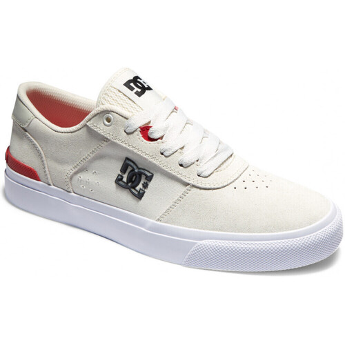 Chaussures Chaussures de Skate DC Shoes Terra TEKNIC S off white Blanc