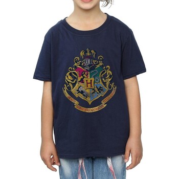 Vêtements Fille T-shirts Baumwoll-T-Shirt manches longues Harry Potter  Bleu
