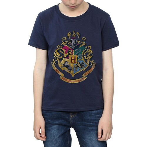 Vêtements Garçon Hufflepuff Badger Crest Harry Potter BI1128 Bleu