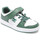 Chaussures Enfant Chaussures de Skate DC Shoes MANTECA V KIDS white green Vert