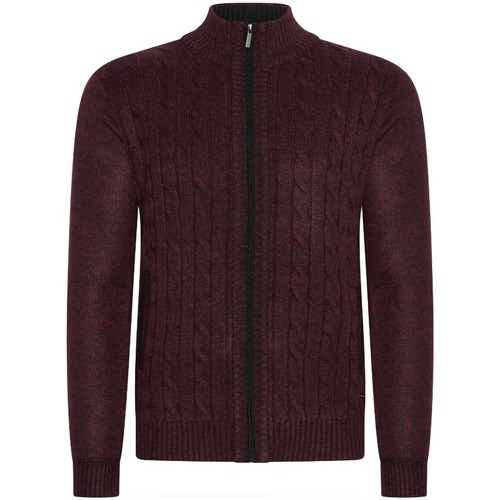 Vêtements Homme Sweats Cappuccino Italia extreme cashmere cropped rollneck knitted sweater Rouge