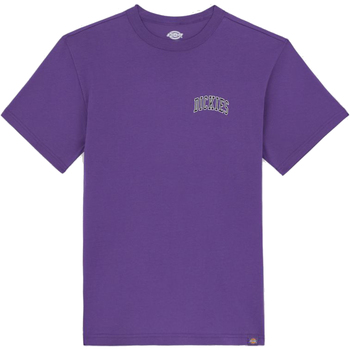 Vêtements Homme T-shirts manches courtes Dickies DK0A4Y8OF931 Violet