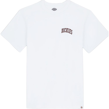 Vêtements Homme T-shirts manches courtes Dickies DK0A4Y80G401 Blanc