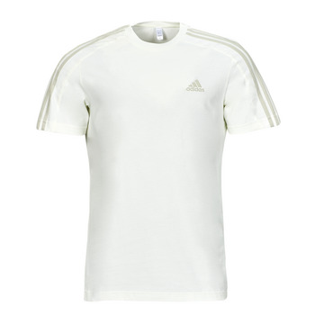 Vêtements Homme T-shirts manches courtes Adidas Sportswear M 3S SJ T Ecru