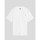 Vêtements Homme T-shirts manches courtes Dickies  Blanc