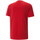 Vêtements Homme T-shirts & Polos Puma 674474-11 Rouge