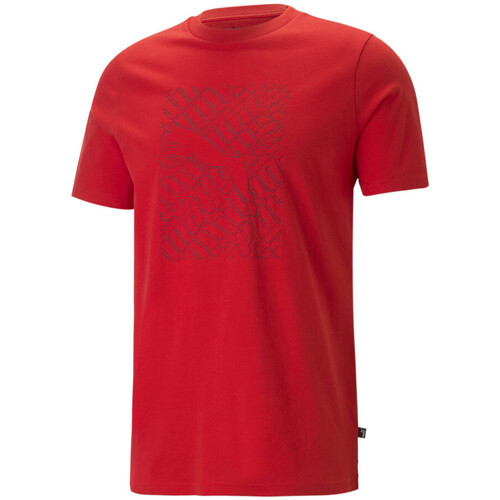 Vêtements Homme T-shirts manches courtes Puma 674474-11 Rouge