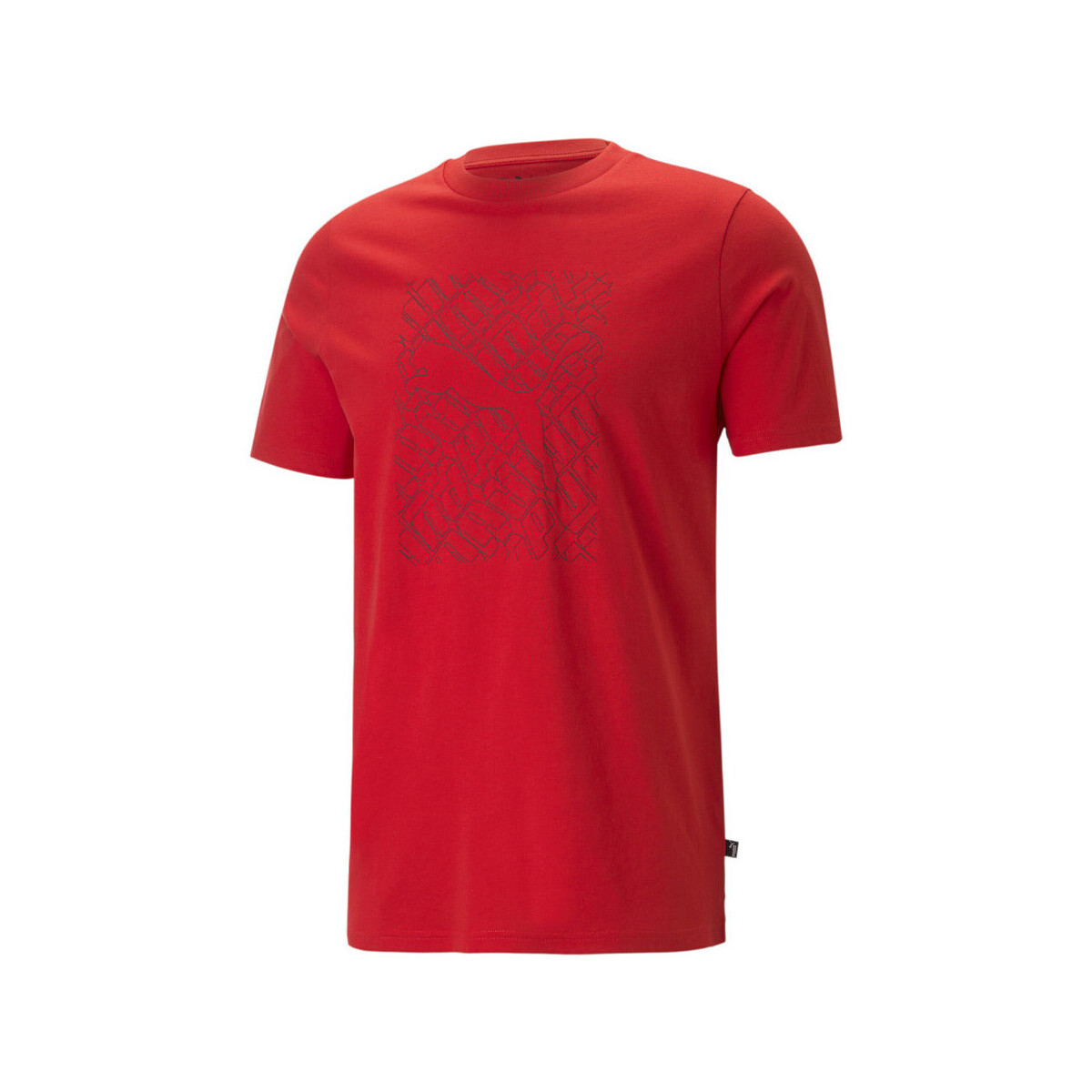 Vêtements Homme T-shirts & Polos Puma 674474-11 Rouge