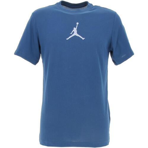 Vêtements Homme T-shirts manches courtes Nike M j jumpman df ss crew Bleu