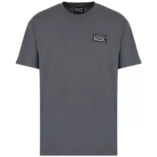 Vêtements Homme T-shirts & Polos Джинси чорні armanini Tee-shirt Gris
