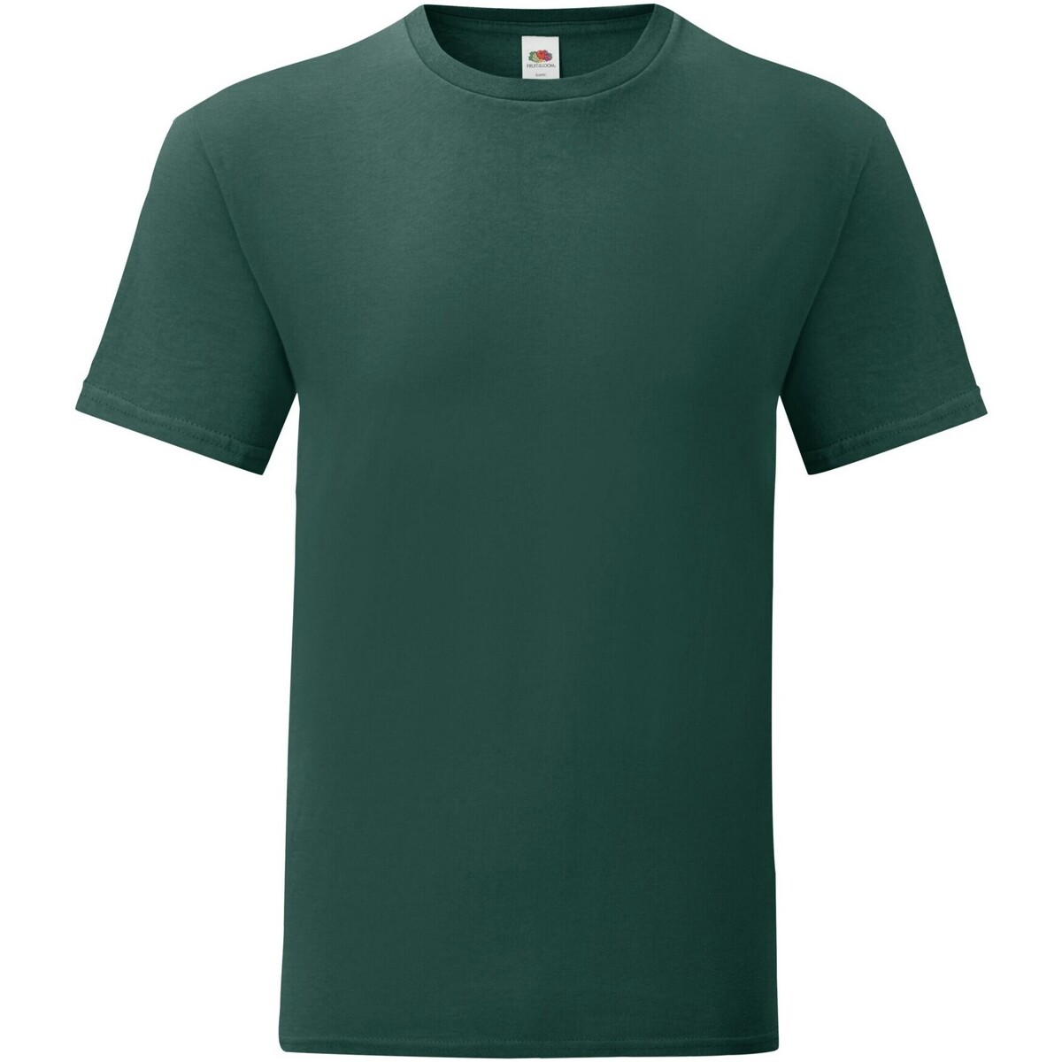 Vêtements Homme T-shirts manches longues Fruit Of The Loom Iconic Vert