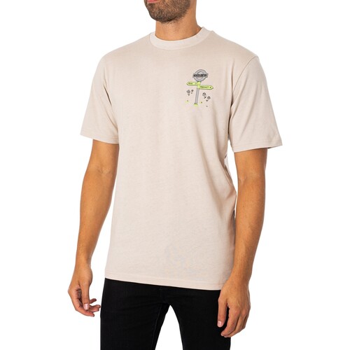 Vêtements Homme T-shirts manches courtes Hikerdelic Peak & Precinct Retour T-shirt graphique Beige
