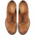 Chaussures Homme Derbies Sturlini 29004-SIGARO Marron
