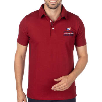 Vêtements Homme rugby shirts and polo tops Shilton Polo european rugby nations 