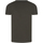 Vêtements Homme T-shirts & Polos Redskins T-shirt col rond Kaki
