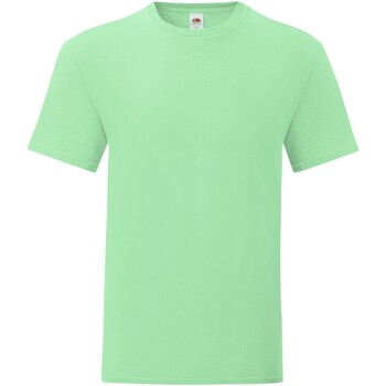 Vêtements Homme T-shirts manches longues Fruit Of The Loom Iconic Vert