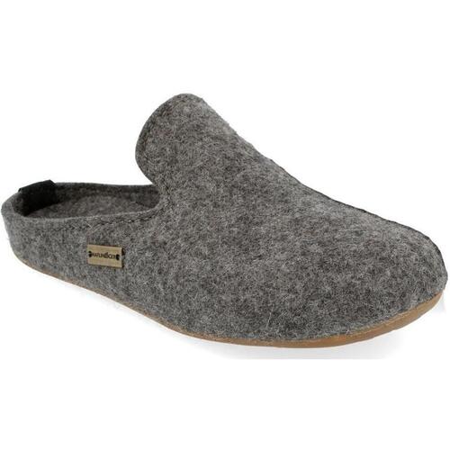 Chaussures Femme Chaussons Haflinger HF-EVE-PHIL-ant-D Gris