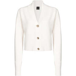 Vêtements Femme Gilets / Cardigans Pinko  Blanc