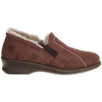 Chaussures Femme Chaussons Rohde Farun Marron