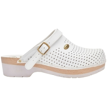 Chaussures Femme Mules Scholl CLOG SCONF Blanc