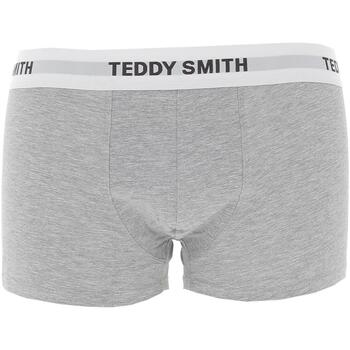 Sous-vêtements Homme Boxers Teddy Smith Billybob Gris