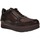 Chaussures Femme Baskets mode Stonefly 219953-marrone Marron