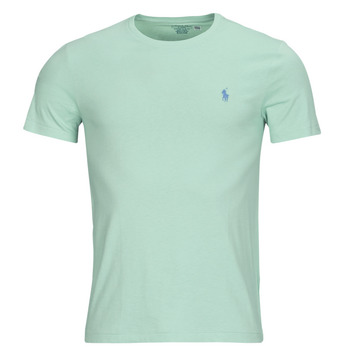 Vêtements Homme T-shirts manches courtes Polo Ralph Lauren T-SHIRT AJUSTE EN COTON Vert Aqua / Celadon/C7580