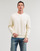 Vêtements Homme Sweats Polo Ralph Lauren SWEATSHIRT COL ROND EN MOLLETON Blanc Cassé