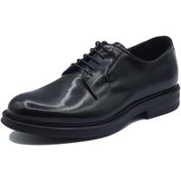 Chaussures Homme Derbies & Richelieu Mercanti Fiorentini 08097 Abrasivato Noir